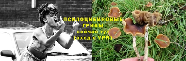 спайс Магадан