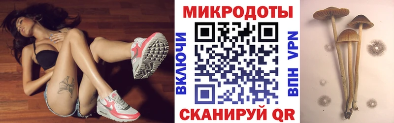 Псилоцибиновые грибы мухоморы  Нерчинск 
